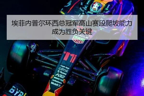 ai-fei-nei-pu-er-huan-xi-zong-guan-jun-gao-shan-sai-duan-pa-po-neng-li-cheng-wei-sheng-fu-guan-jian-2-433.jpg